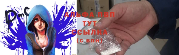 тгк Инта