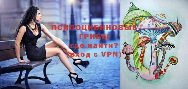 ALPHA PVP Каменск-Шахтинский