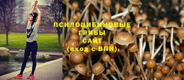 тгк Инта