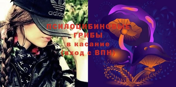 дмт Инсар