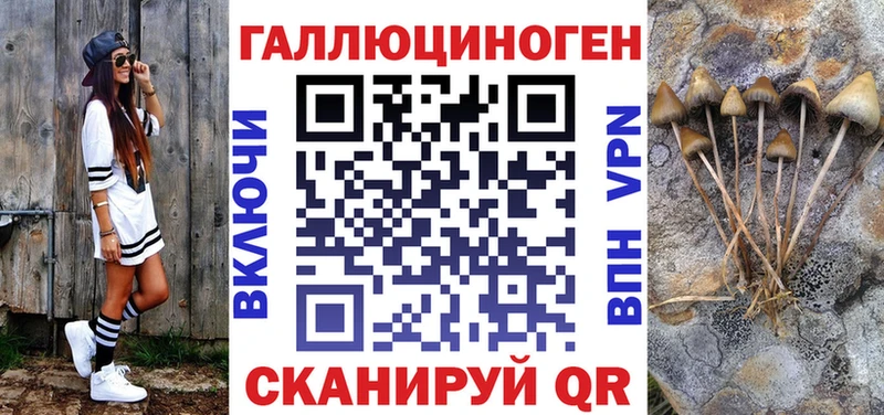 Галлюциногенные грибы Psilocybine cubensis  Фокино 
